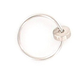Neodymium (Rare Earth) Magnet and Ring